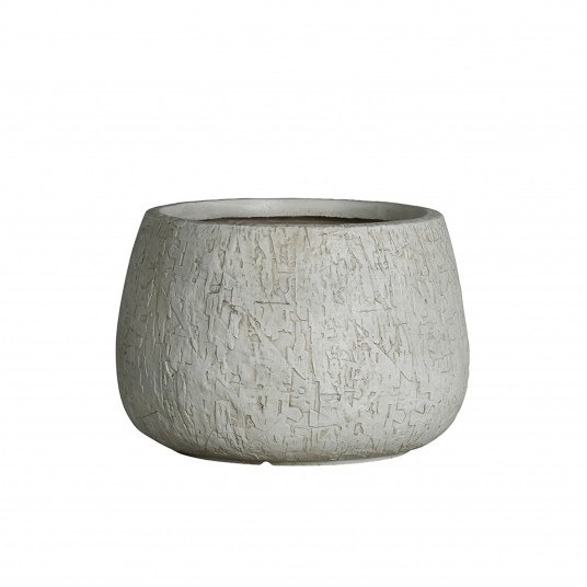 DONICA CORA nr 1 -zdjęcie numer 1