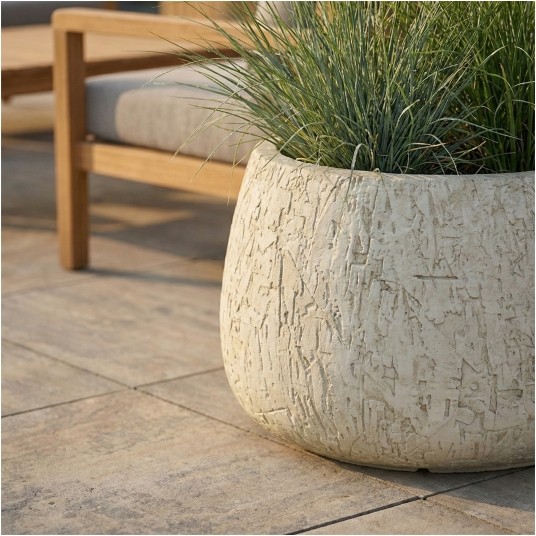 DONICA CORA nr 2 -zdjęcie numer 2