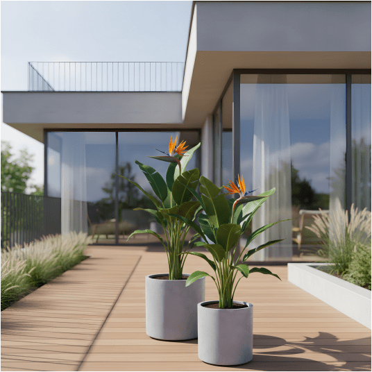 DONICA GRAU nr 2 -zdjęcie numer 2