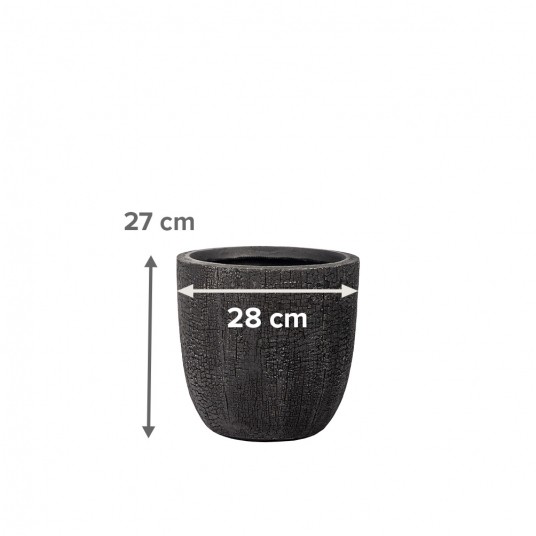 DONICA PRETO nr 1 -zdjęcie numer 4