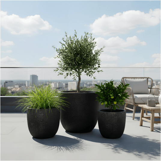 DONICA PRETO nr 2 -zdjęcie numer 6