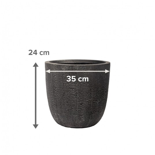 DONICA PRETO nr 2 -zdjęcie numer 3