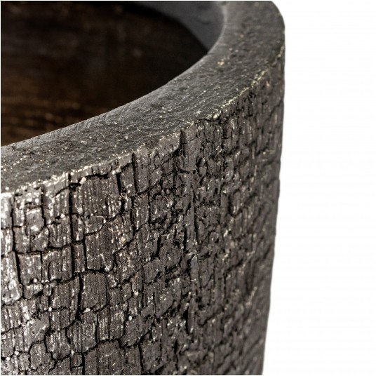 DONICA PRETO nr 3 -zdjęcie numer 2