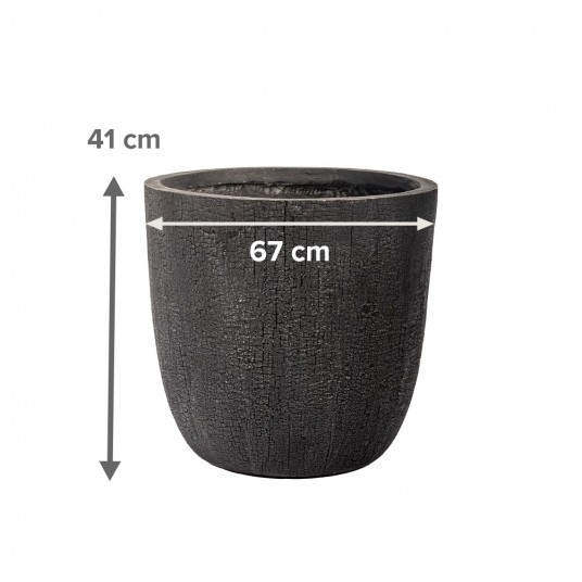 DONICA PRETO nr 3 -zdjęcie numer 4