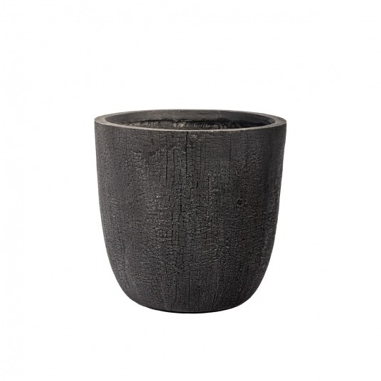 DONICA PRETO nr 3 -zdjęcie numer 1