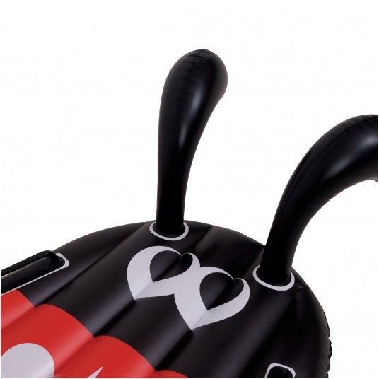 Ladybug Kickboard -zdjęcie numer 4