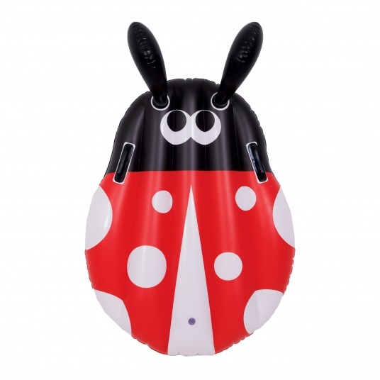Ladybug Kickboard -zdjęcie numer 2