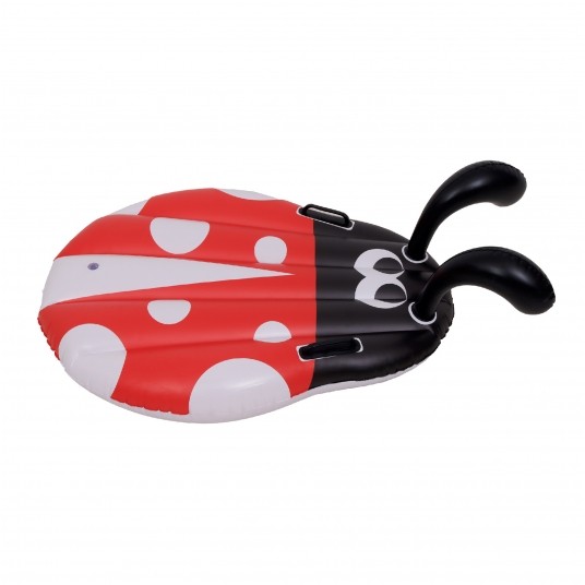 Ladybug Kickboard -zdjęcie numer 5