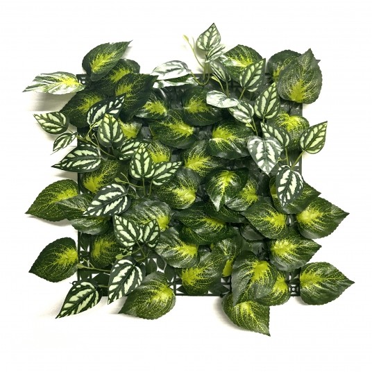 Panel zieleni Aureus -zdjęcie numer 1