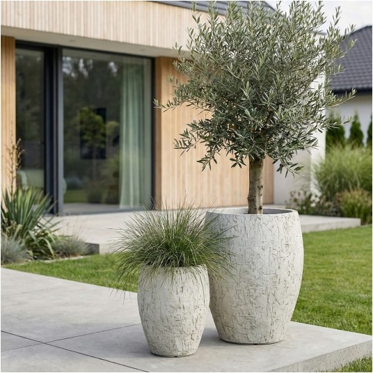 ZESTAW DONIC OWALNYCH CORA 1/2 -zdjęcie numer 2