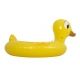 Duck Boat Ride-on -zdjęcie numer 1