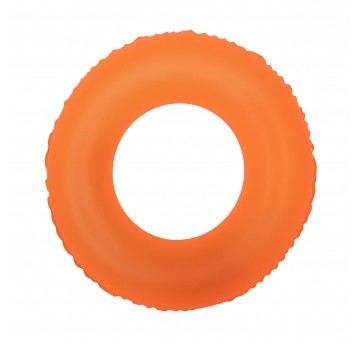 Frosted Neon Swim Ring