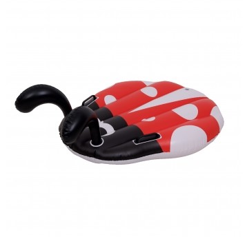 Ladybug Kickboard