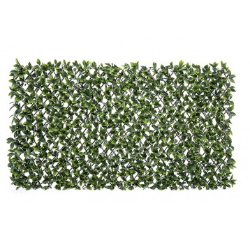 Osłona balkonowa Wierzba Laurowa