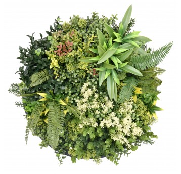 Panel kolorowych roślin Harmonia I