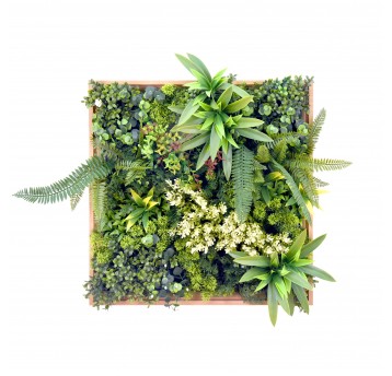 Panel kolorowych roślin Harmonia II