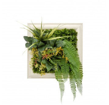 Panel kolorowych roślin Idylla