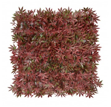 Panel kolorowych roślin Klon Czerwony