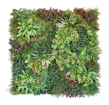 Panel kolorowych roślin Natura