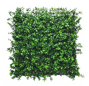 Panel zieleni Bukszpan