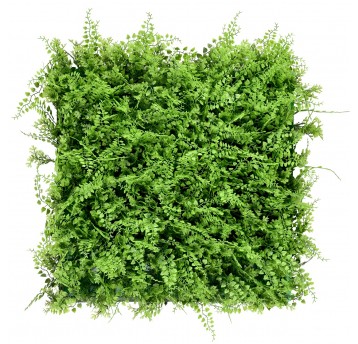 Panel zieleni Dzika Paproć