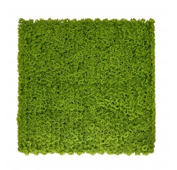 Panel zieleni Mech