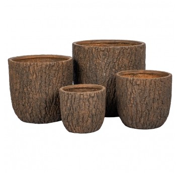 ZESTAW DONIC FORREST 1/4